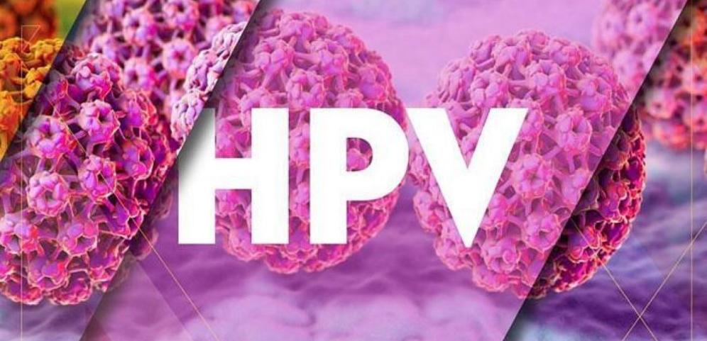 Η Medicon παρέχει ολοκληρωμένες λύσεις για την μοριακή ανίχνευση του HPV με 3 διαφορετικά RT-PCR kit με υψηλή ευαισθησία.